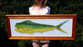 Mahi Mahi - Framed Original