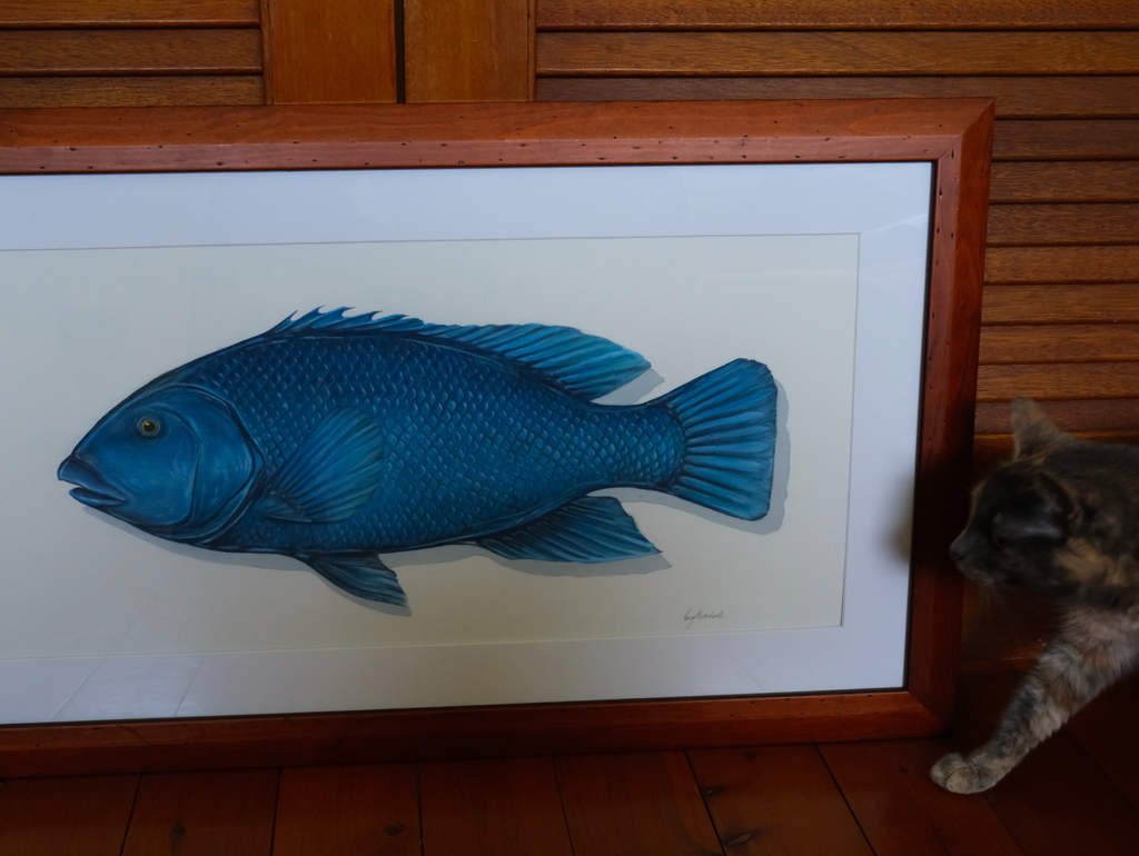 A framed art print featuring a detailed blue groper fish illustration, displayed on a wooden floor against a wooden slatted wall, with a cat partially visible on the right side.