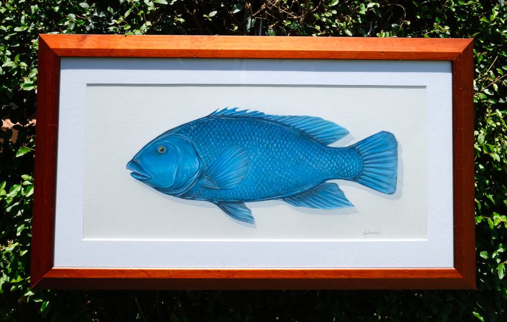 Framed wall art featuring a detailed blue fish illustration on a white background, enclosed in a reddish-brown wooden frame and photographed outdoors against green foliage.