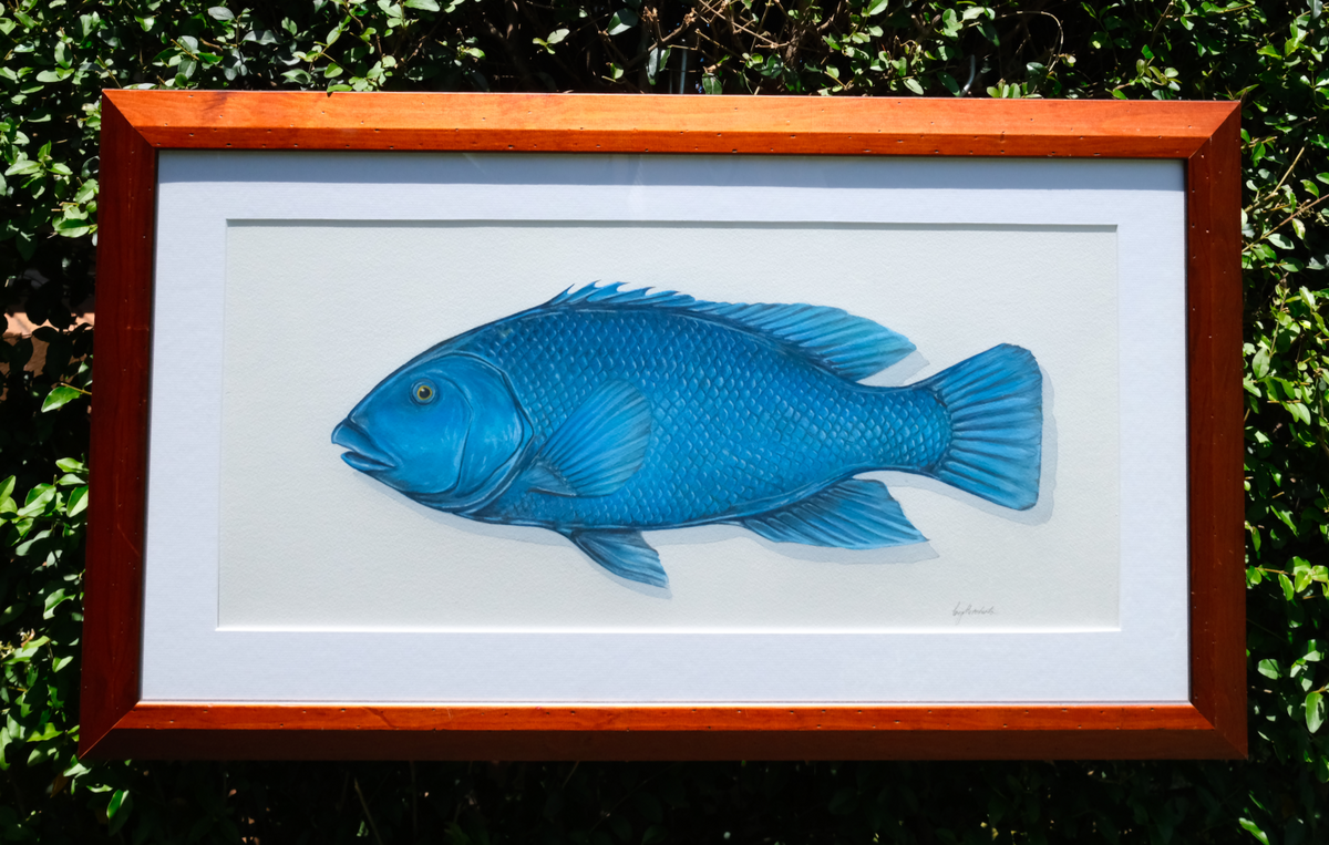 Framed wall art featuring a detailed blue fish illustration on a white background, enclosed in a reddish-brown wooden frame and photographed outdoors against green foliage.