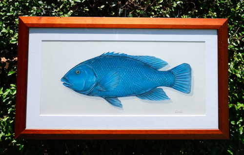 Framed wall art featuring a detailed blue fish illustration on a white background, enclosed in a reddish-brown wooden frame and photographed outdoors against green foliage.