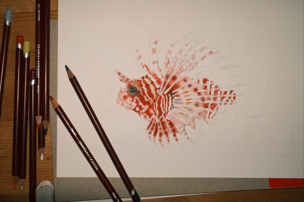 Lion Fish