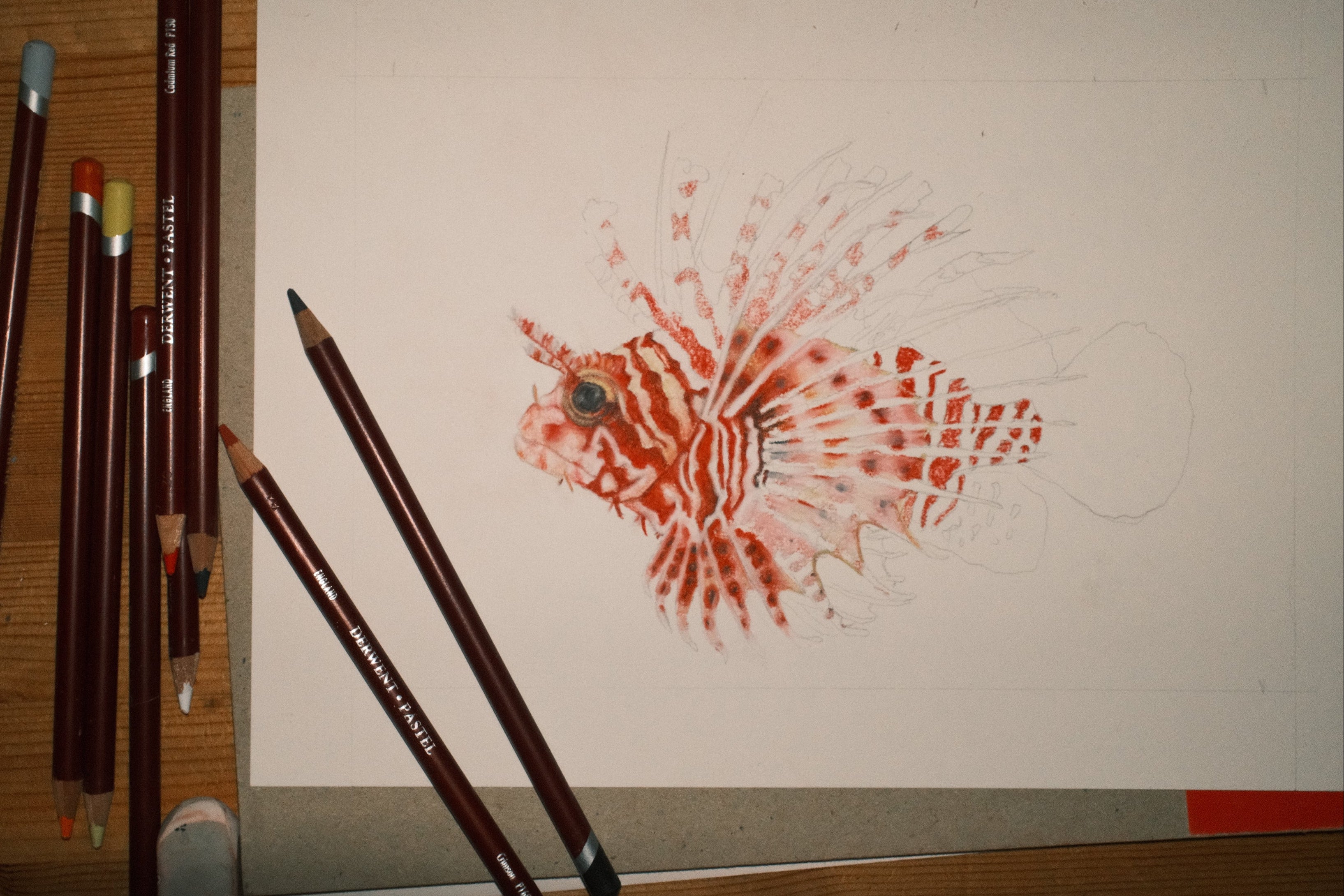 Lion Fish