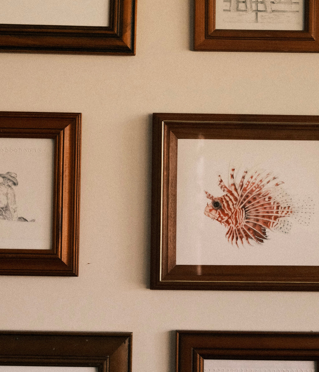 Lion Fish