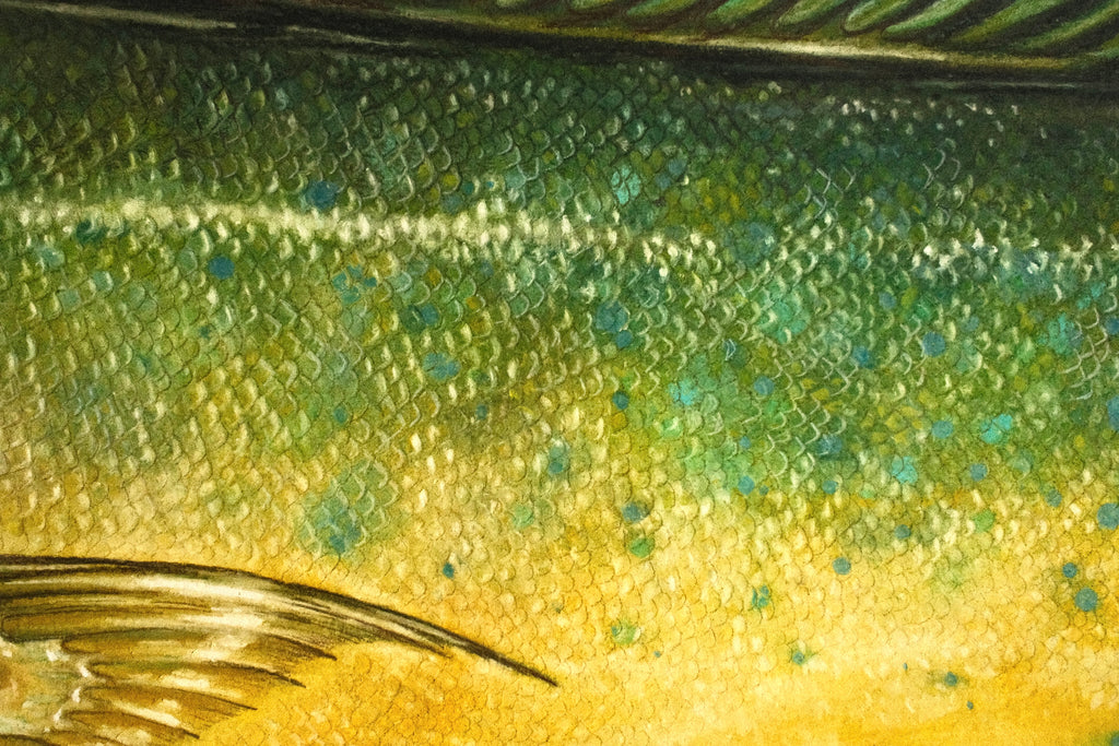 Mahi Mahi - Framed Original