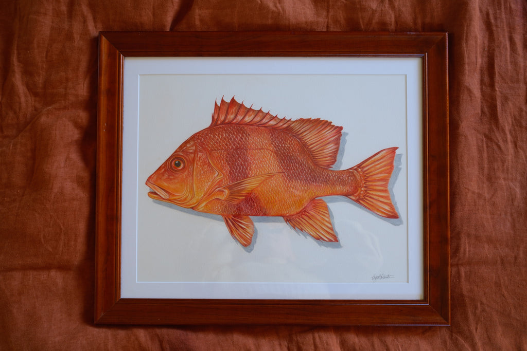 Red Emperor - Framed Original