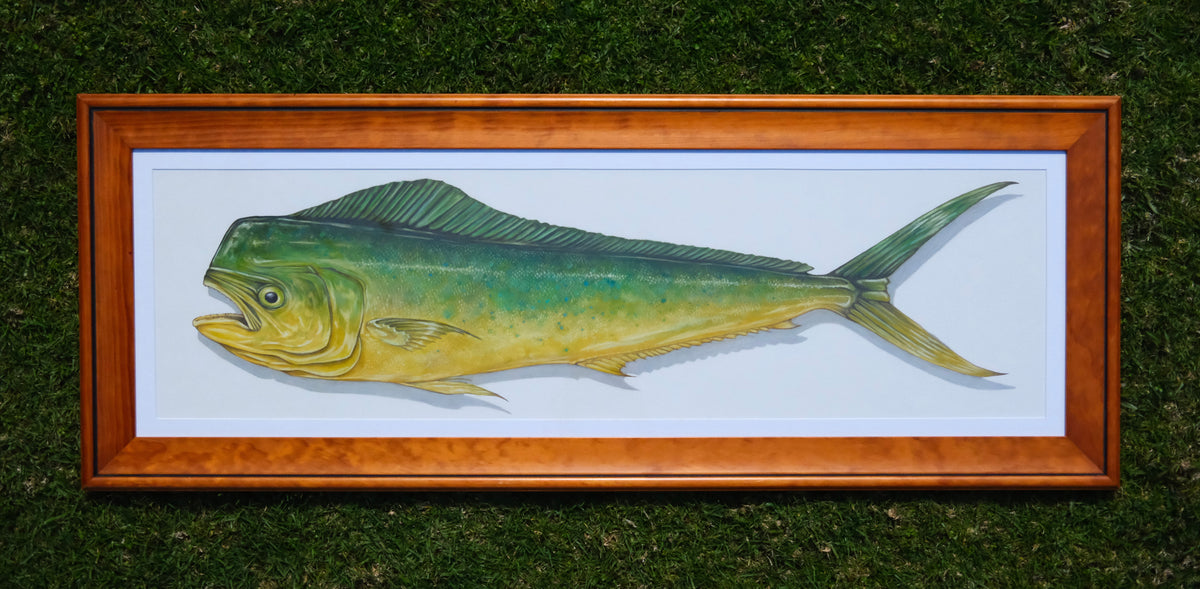 Mahi Mahi - Framed Original