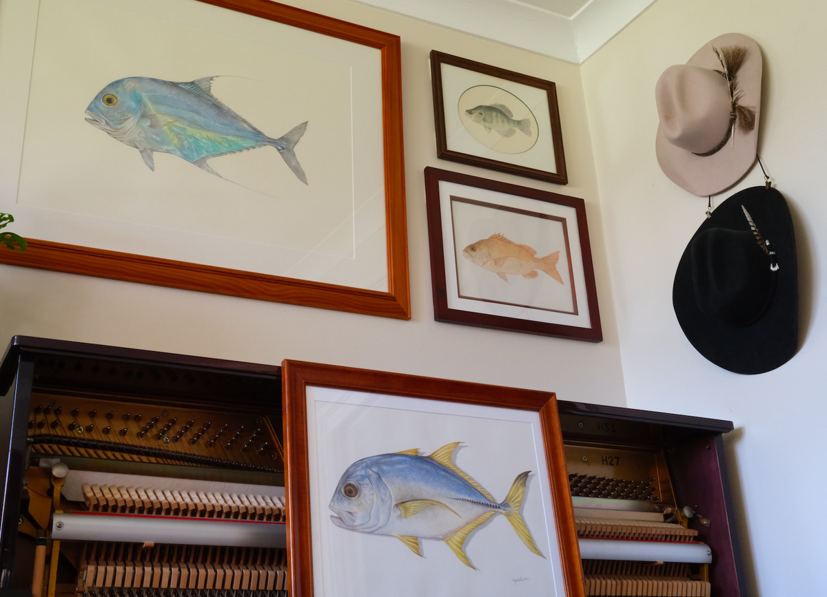 Trevally - Framed Original
