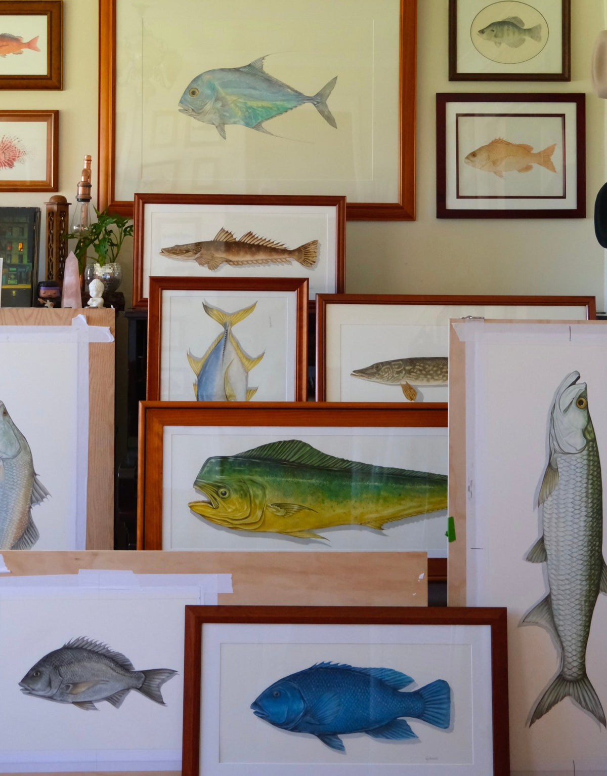 Friday Project School Of Fish