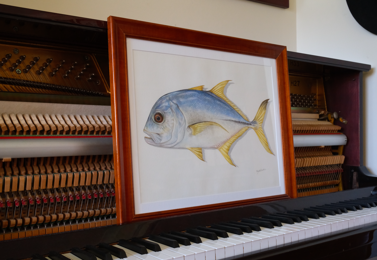 Trevally - Framed Original