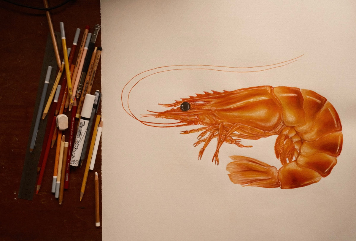 Le Prawn